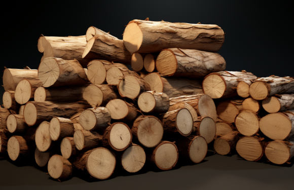 Колотые дрова: все, что вы хотели знать о них